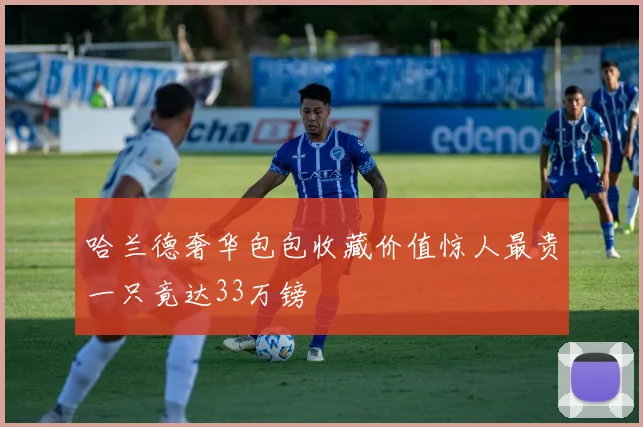 哈兰德奢华包包收藏价值惊人最贵一只竟达33万镑