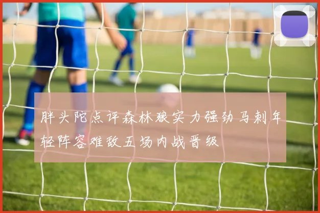 胖头陀点评森林狼实力强劲马刺年轻阵容难敌五场内战晋级